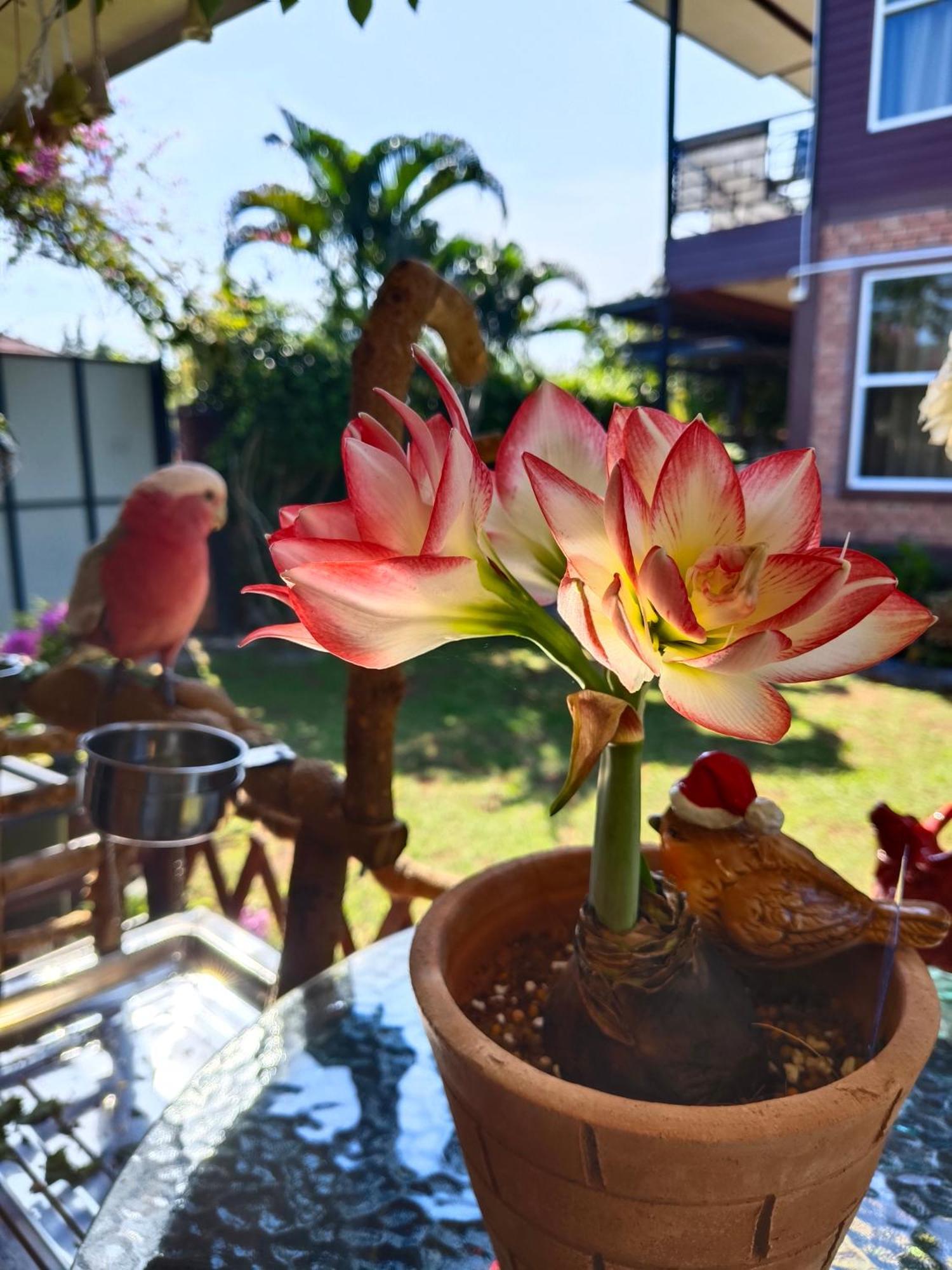Krabilife Resort Ban Ko Kwang Exteriör bild