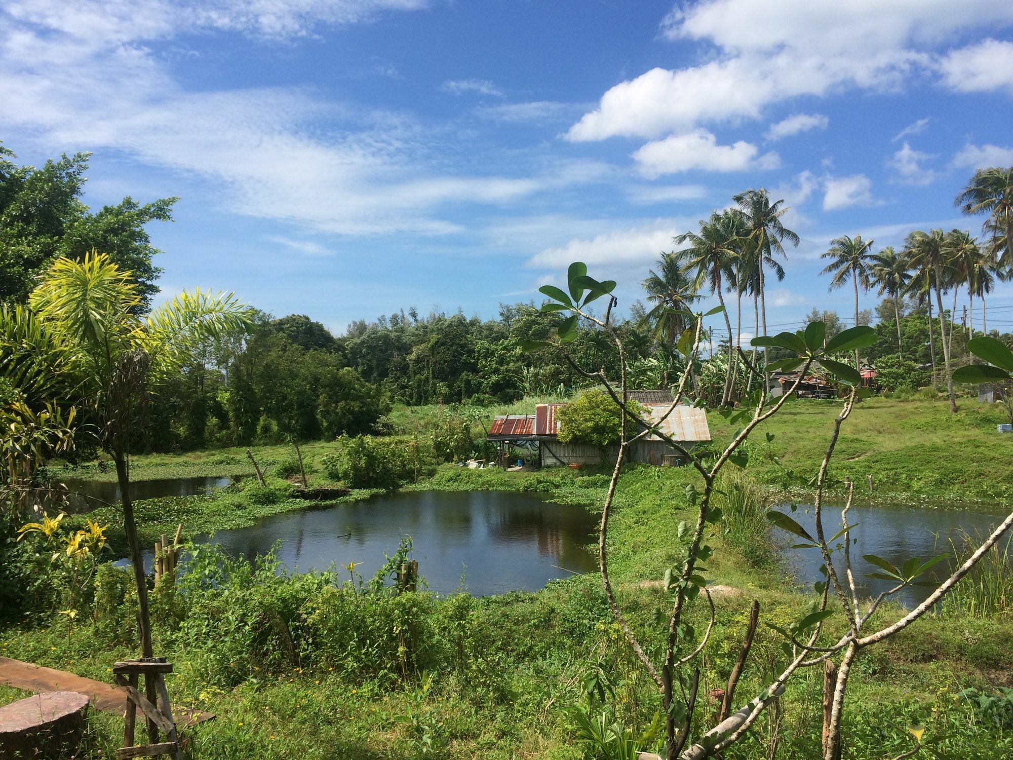 Krabilife Resort Ban Ko Kwang Exteriör bild